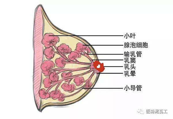 微信图片_20190328170127.jpg